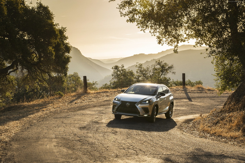 4K, SUV, 2K, LEXUS NX 300 F SPORT, 2018 Cars
