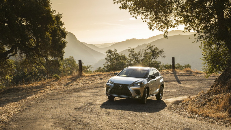 2K, LEXUS NX 300 F SPORT, 2018 Cars, 4K, SUV