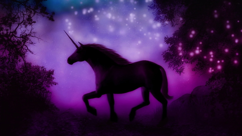 Lila, herbivorous, night, side view, outdoors, animal wildlife, livestock, animal themes, Deutschland, no people, horse, full length, Schwarz, sky, profile view