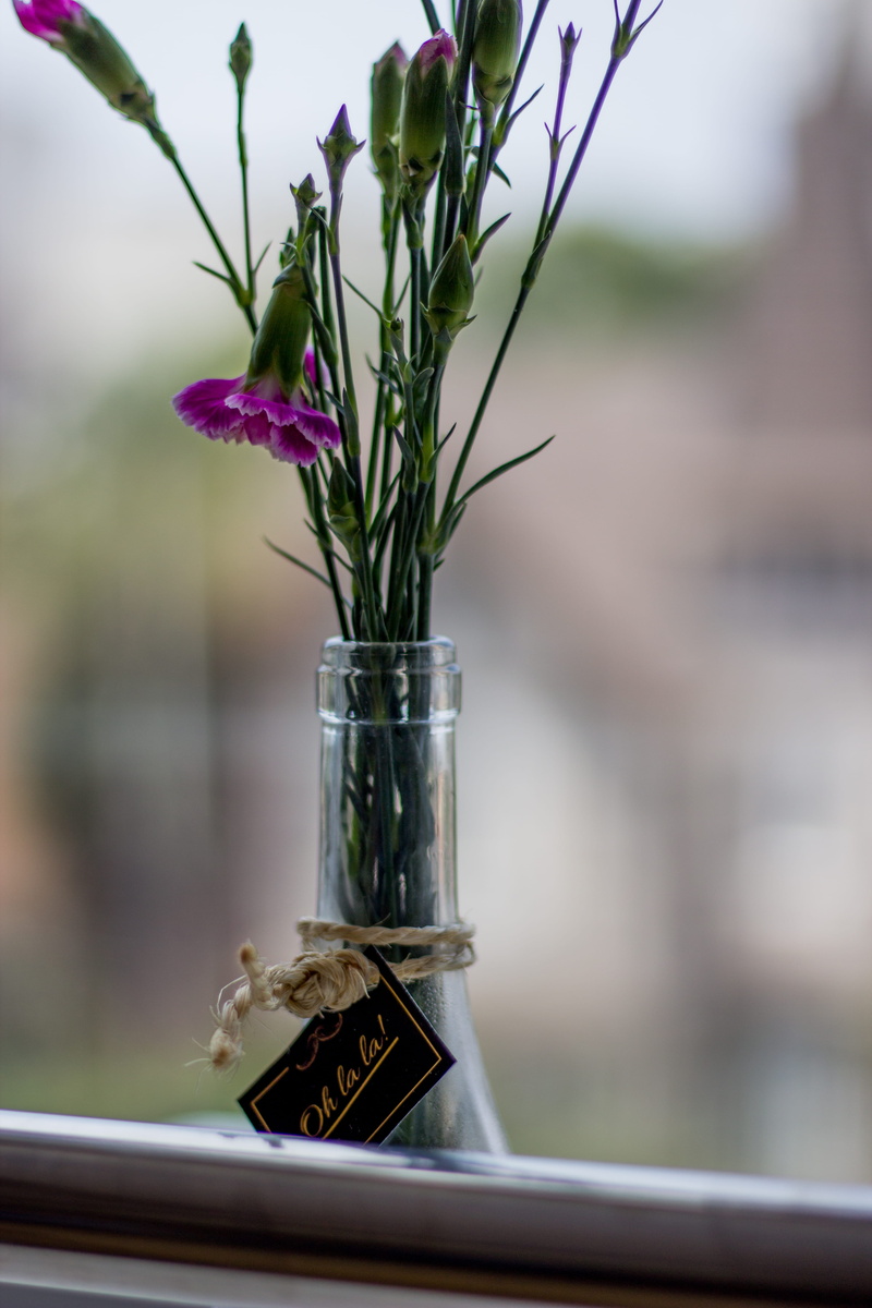 lila, outdoors, event, aperture, plant, flower, focus on foreground, fragility, beauty in nature, fotografia, isil, decoration, no people, glass - material