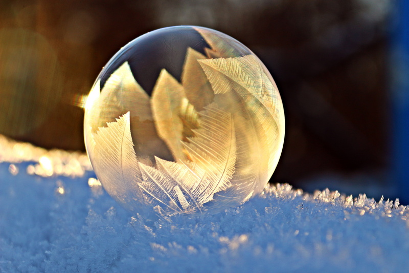 clear, animal themes, glass, sunlight, frost, animal, serrated, cold, no people, shiny, 5K, animal wildlife, winter, focus on foreground, soap bubble