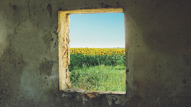 summer, architecture, rural Scene, no people, yellow, agriculture, igor yastrebov ihor hawks, ukraine, field, outdoors, 2K, concrete, sunlight, plant