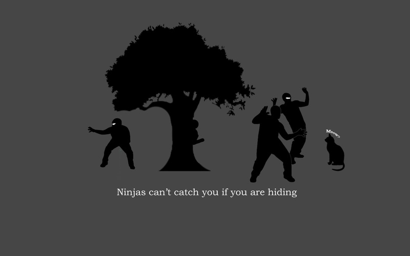ninjas, 1080P, trees, cats, catch
