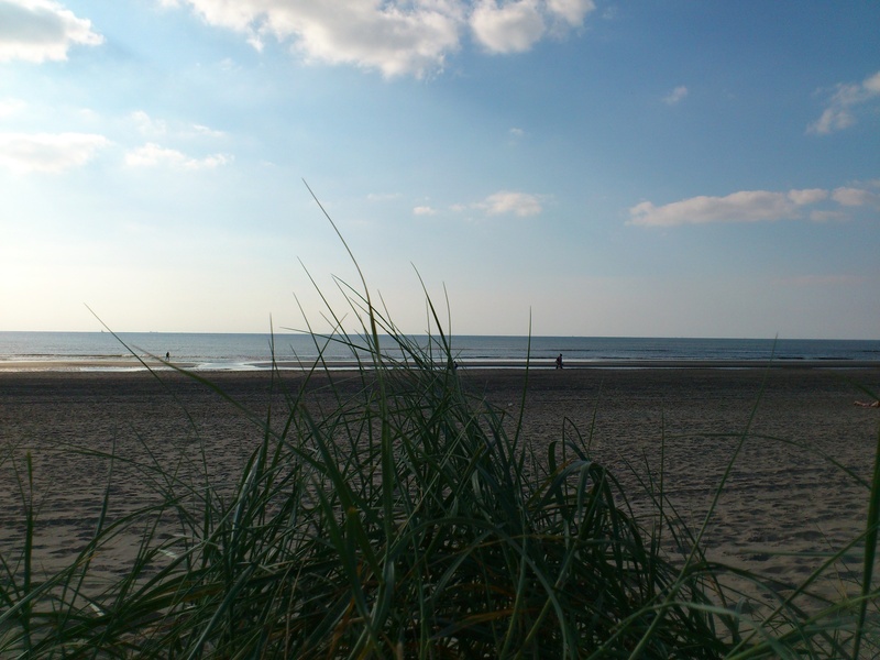 nature, beach, outdoors, marram grass, in the, no people, edge of the sea, land, nordfriesland, horizon over water, water, north sea, holiday, grass, holidays