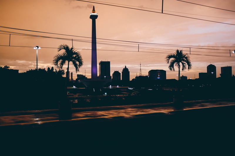 city, plant, outdoors, swimming pool, tropical climate, no people, tree, built structure, golden hour, sunshine, illuminated, city life, silhouette, electricity