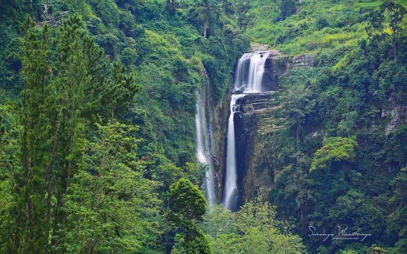 plant, growth, nature, falling water, motion, foliage, day, power in nature, waterfalls, environment, flowing, green color, flowing water, scenics - nature