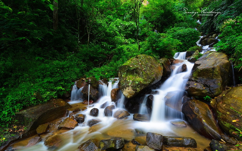 sri, body, nature, scenics - nature, outdoors, rock, flowing water, long exposure, no people, water, flowing, plant, tree, beauty in nature