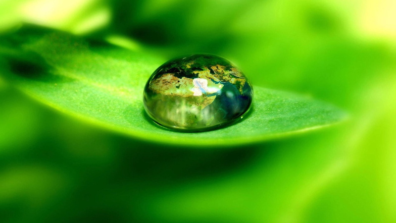  green color, fresh, jewelry, nature, shiny, selective focus, sphere, flowers, macro, theme, plants, water, drop, close-up, abstract, single object
