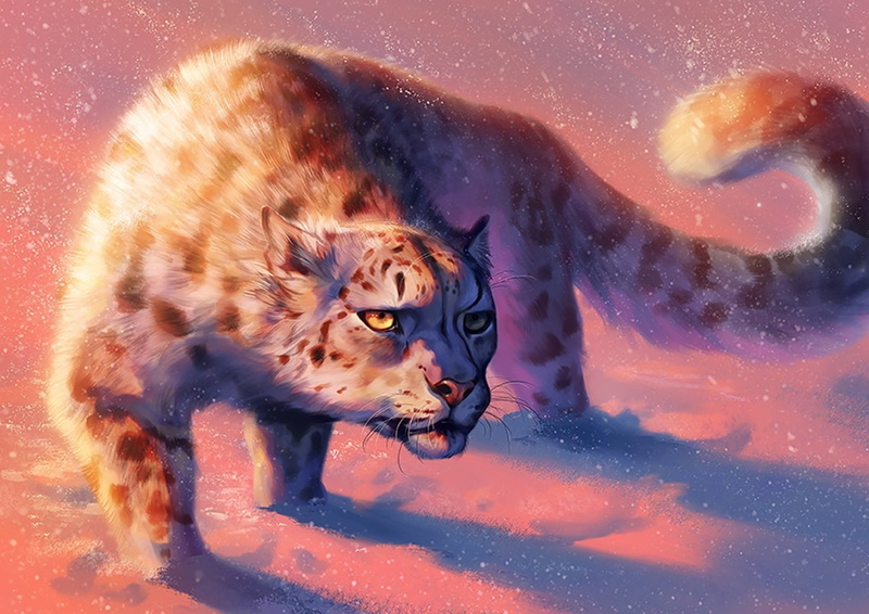 Creature, 720P, Snow Leopard, Fantasy, Cat, Cats