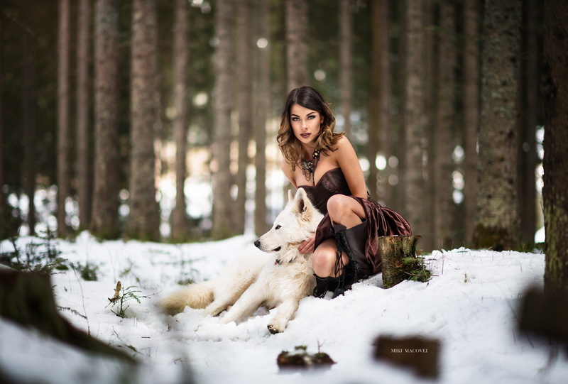 women, dress, caucasian Ethnicity, forest, fur, beautiful, togetherness, sled Dog, animal, friendship, park - Man Made Space, siberian Husky, joy, tree