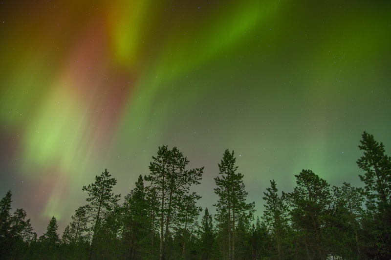 growth, winter, tranquility, scenics, silhouette, rainbow, lights, physics, north, scenic, northern lights, green color, 5K, outdoors, natural phenomenon