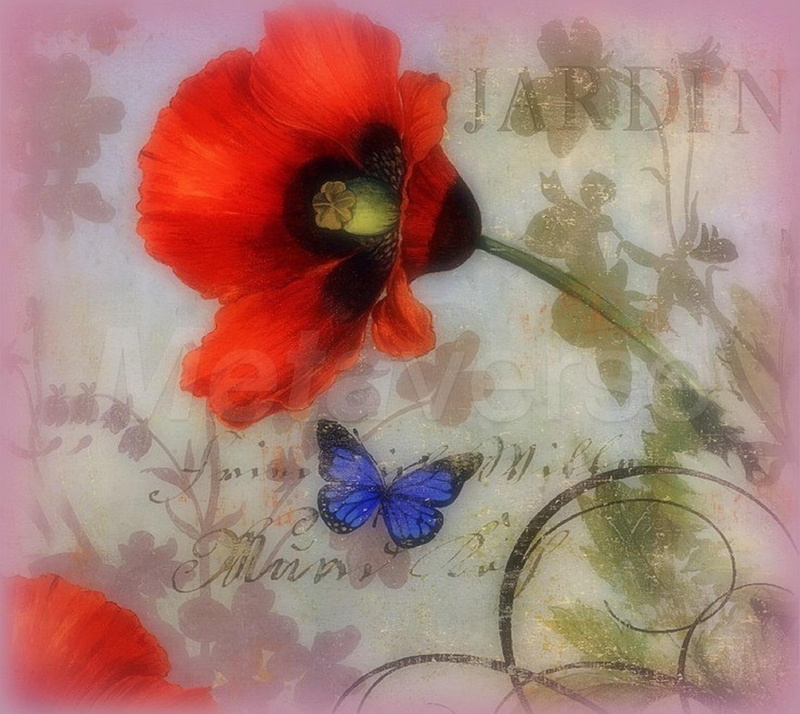 digital-art, creativ, pretty, colors, jardin, plants, poppies, 720P, jardin-poppies, flowers, garde, lovely, butterfly-in-the-garden
