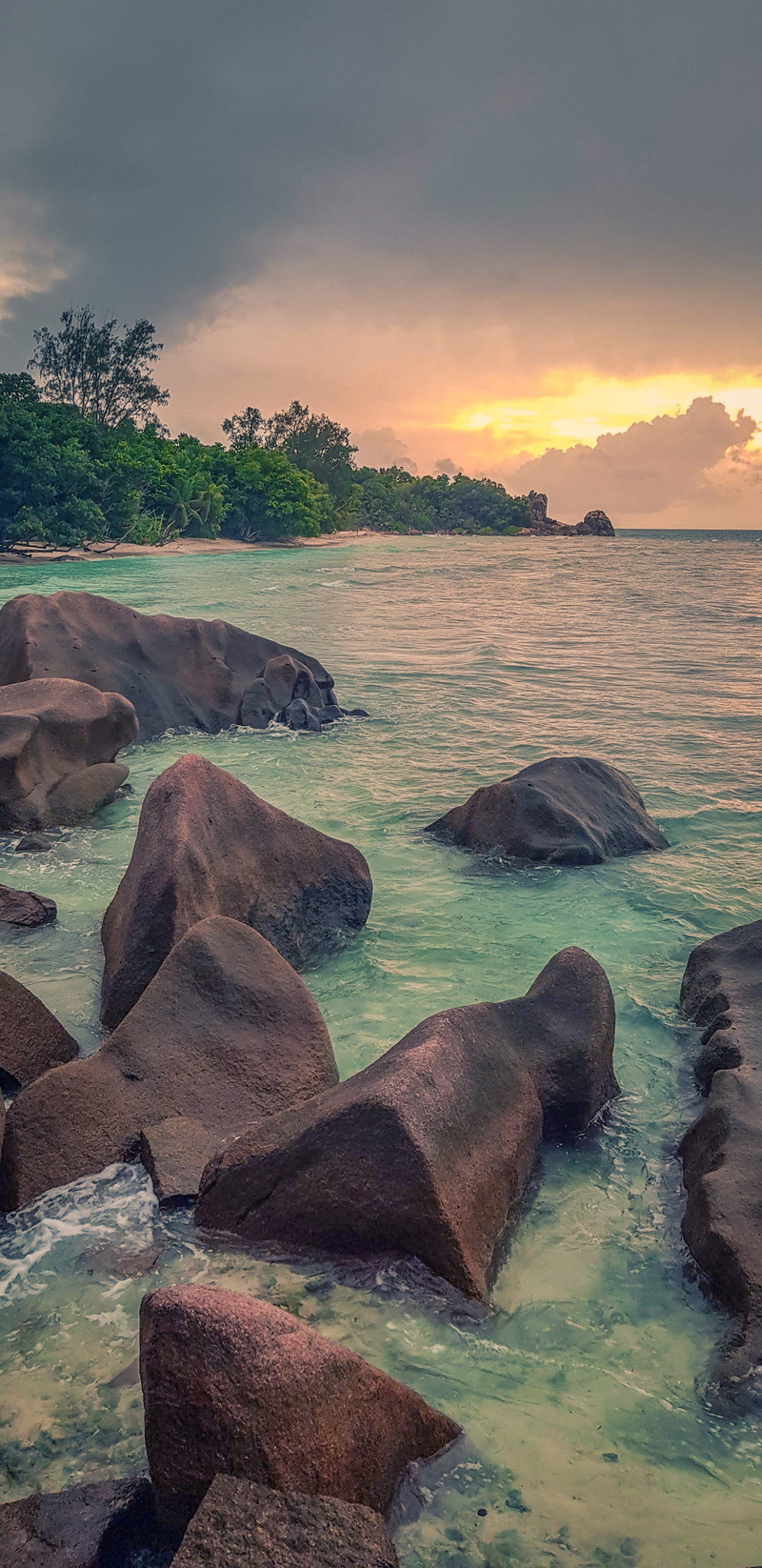tropical, paradise, an island, no people, palm trees, recreation, stones, rocks, tranquil scene, environment, plant, sky, rock, nature, beautiful, tranquility