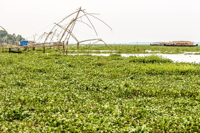 fishing, lifestyle, nets, kerala, grass, industry, green color, growth, architecture, day, land, green, transportation, machinery, outdoors, culture, no people