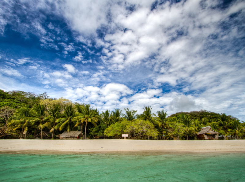 plant, malcapuya, mimaropa, scenics - nature, beauty in nature, Beach, Travel, travel destinations, coconut, sky, palm tree, Blue, palm, tropical climate