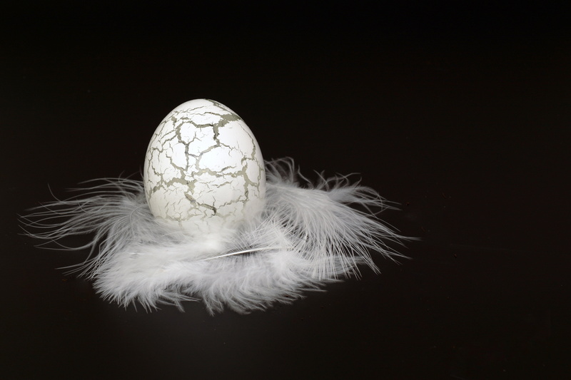 elegant, copy space, noble, no people, body part, close-up, horror, decor, studio shot, fear, angel, 5K, easter decorations, easter greetings, halloween
