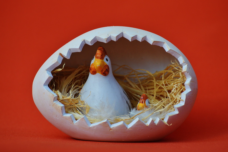 two, hens, still life, colored background, studio shot, fun, happy easter, inside, close-up, white, 5K, food, sweet food, food and drink, red background
