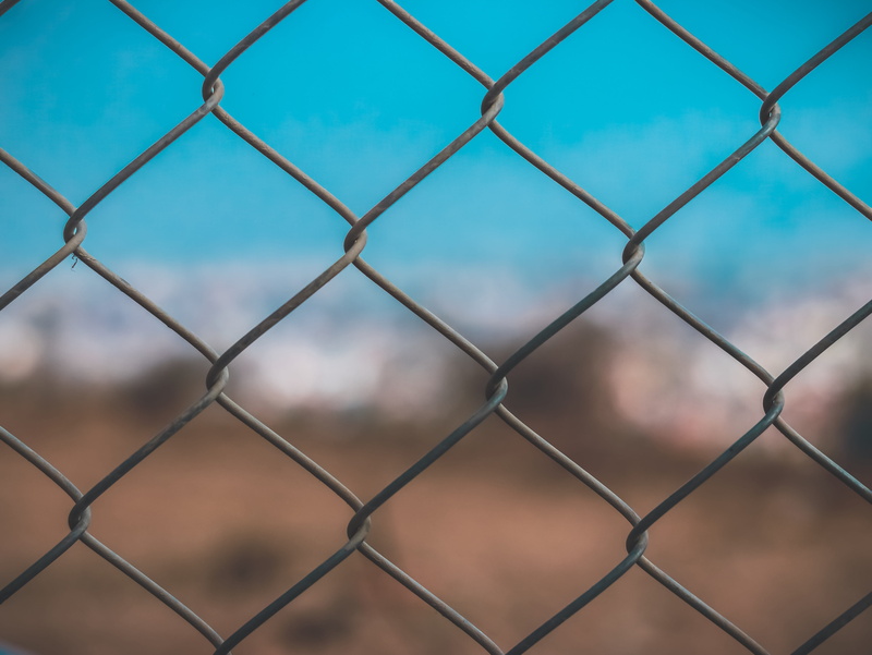 protection, chain, barrier, handrail, vegetation, hedge, sphere, boundary, close-up, animal, outdoors, chainlink fence, wire mesh, backgrounds, barricade