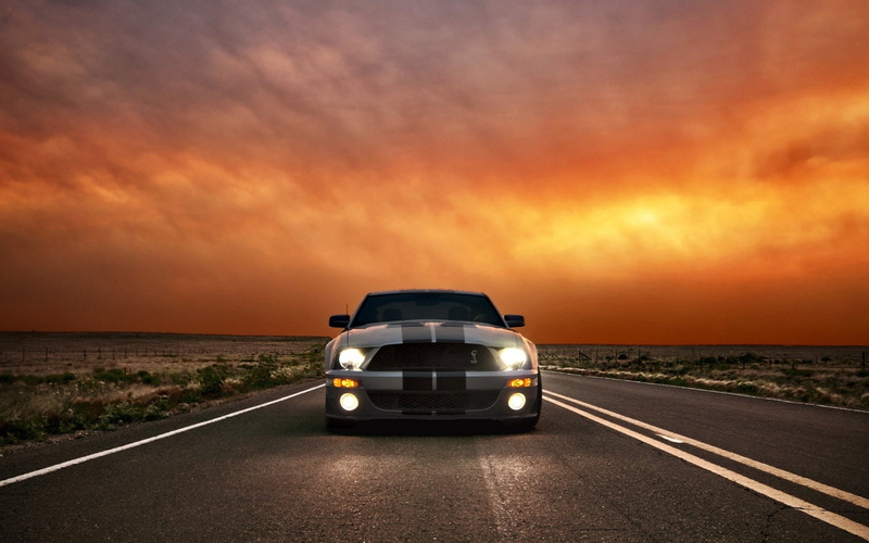 Ford Mustang Shelby Cobra GT 500, 1080P, Ford