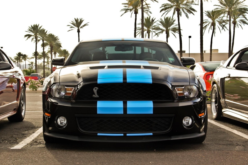 palm tree, retro styled, Ford Mustang Shelby, day, Headlights, tropical climate, outdoors, city, Ford Shelby GT500, land vehicle, 1080P, car, plant, road