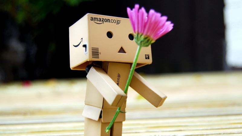 day, fun, flower, communication, human representation, people, danboard, close-up, 1080P, representation, danbo, technology, no people, robot, male likeness