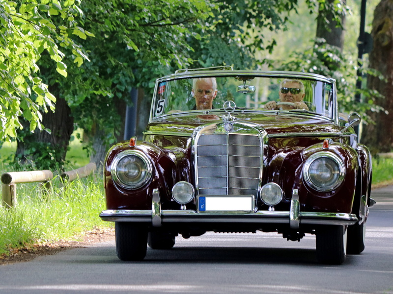 plant, vehicles, benz, mode of transportation, tree, pkw, transportation, focus on foreground, sunlight, historically, Classic, mercedes, stationary, old vehicles