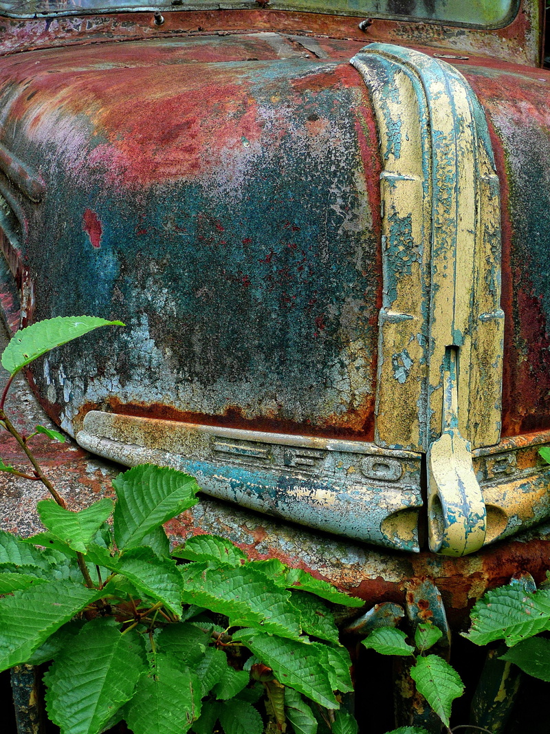 Truck, red, vintage, headlight, abandoned, yellow, 2K, transportation, day, old-fashioned, ford, broken, retro Styled, steel, run-Down, rusty, Colorful