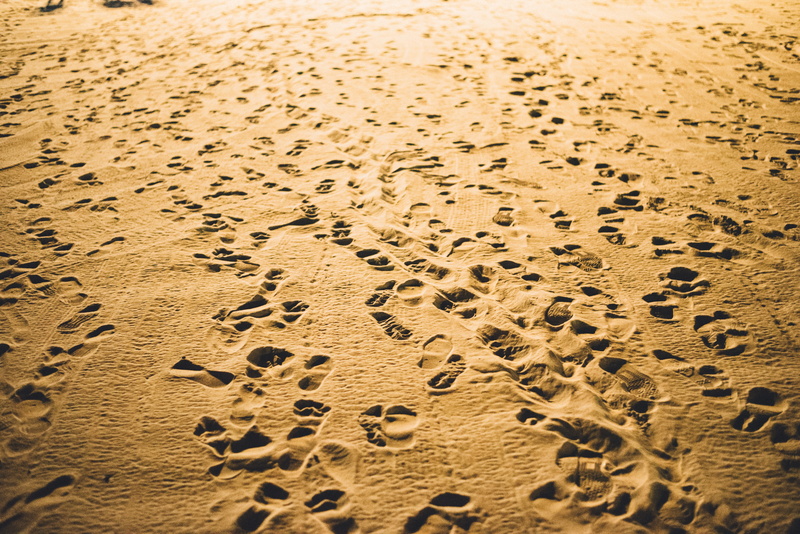 trail, footprints, beauty in nature, climate, outdoors, land, 5K, beach, print, brown, sunlight, sand, track - imprint, nature, footprint, no people, feet