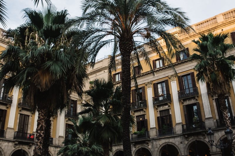 travel, Palm trees, tree trunk, Spain, palms, day, luxury, window, built Structure, low angle view, trees, tropical tree, outdoors, travel Destinations