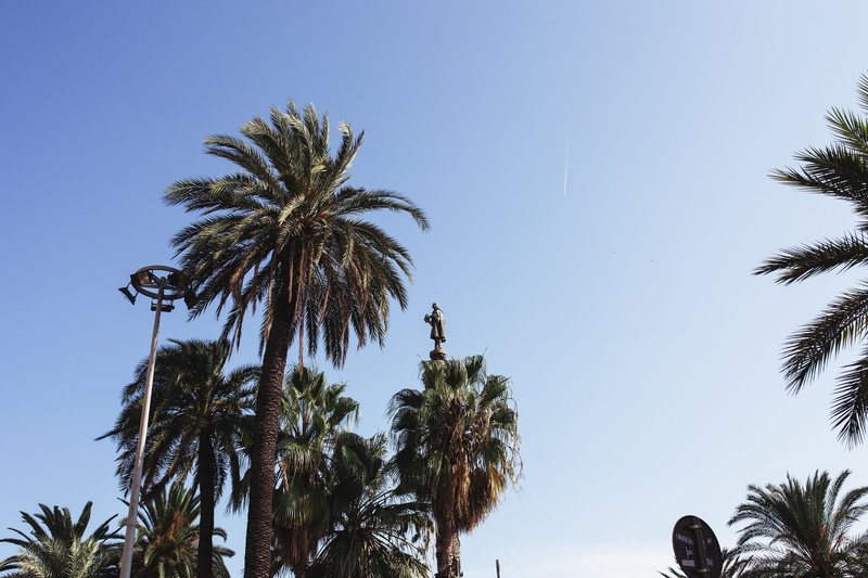 summer, scenics - nature, tree, sky, palms, beach, plant, Spain, tropic, tropical tree, date palm tree, clear sky, mediterranean, no People, Palm trees