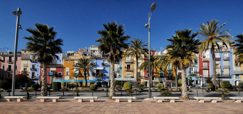 clear sky, architecture, building exterior, building, date palm tree, villajoyosa, 4K, sunlight, travel destinations, plant, sky, houses, palm tree, coconut palm tree