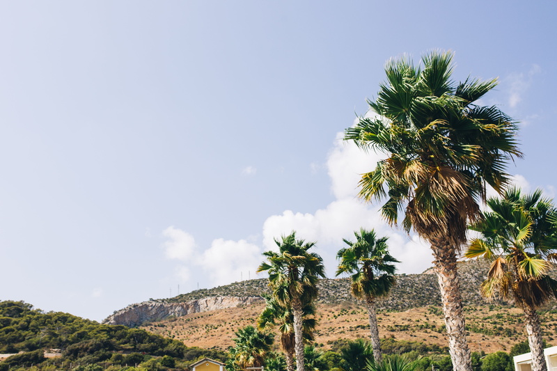 travel Locations, no People, tree, day, trees, growth, beauty in nature, environment, tropical, travel Destinations, palm, barcelona, land, summer, tropical Climate