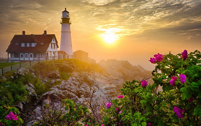 Morning, 1080P, Lighthouse, Flowers, Rocks, Sunrise