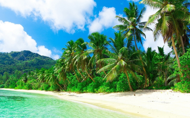 1080P, sand, beach, trees, palm, nature, landscape, sea, tropical, clouds, holiday, hill, summer