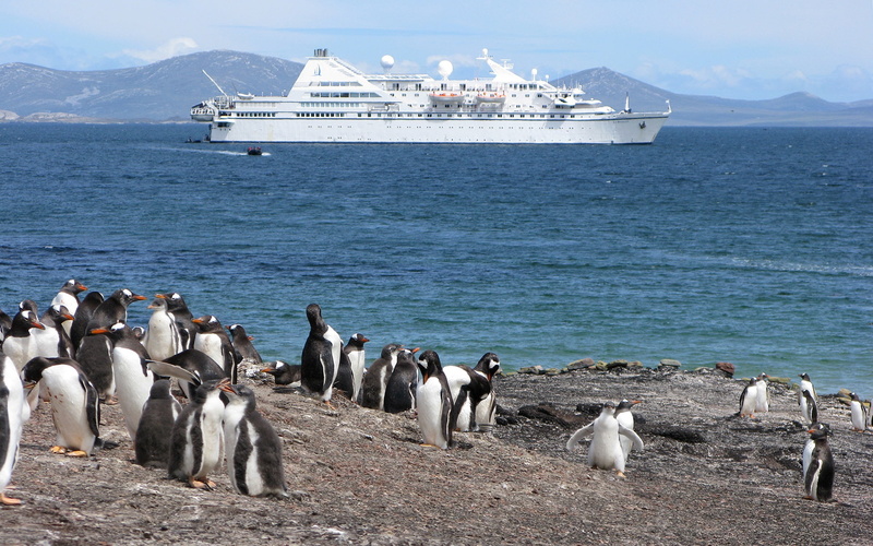 Coast, Ship, flock, penguins, Penguin, Sea, 1080P