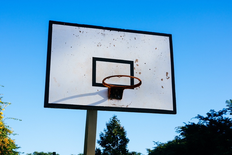hoop, nature, clear sky, basketball, copy space, no people, outdoors, plant, 5K, white, ball, sky, sunlight, sunny, basketball ring, leisure games, shape