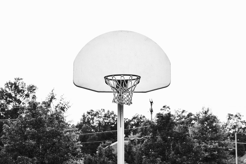 day, rim, low angle view, growth, no people, plant, black and white, copy space, backboard, design, 5K, tree, sky, clear sky, architecture, basketball hoop