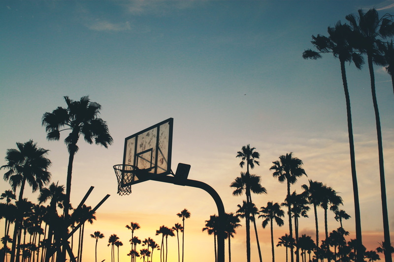 sky, tropical, backlit, silhouettes, idyllic, dusk, tree, nature, basketball - sport, court, low angle view, sport, palm tree, front or back yard, orange color