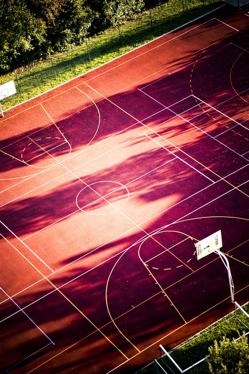 backboard, games, outdoors, empty, competition, curve, no people, fun, dunking, game, athletics, basketball, tree, day, assist, grass, pattern, sunlight