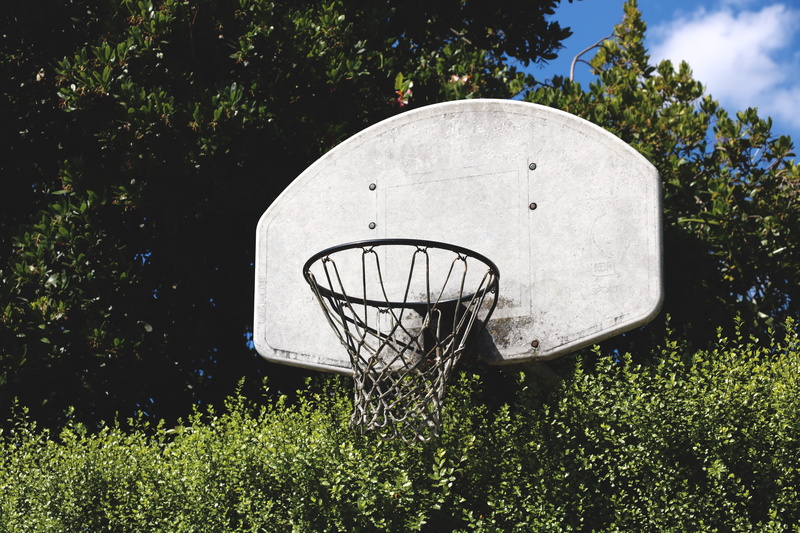 grass, day, sky, backboard, built structure, basketball, plant, absence, sports equipment, green color, basketball - sport, sport, architecture, no people