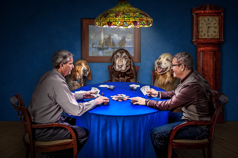 1080P, cards, game, situation, Chips, funny, clock, poker, dogs, men