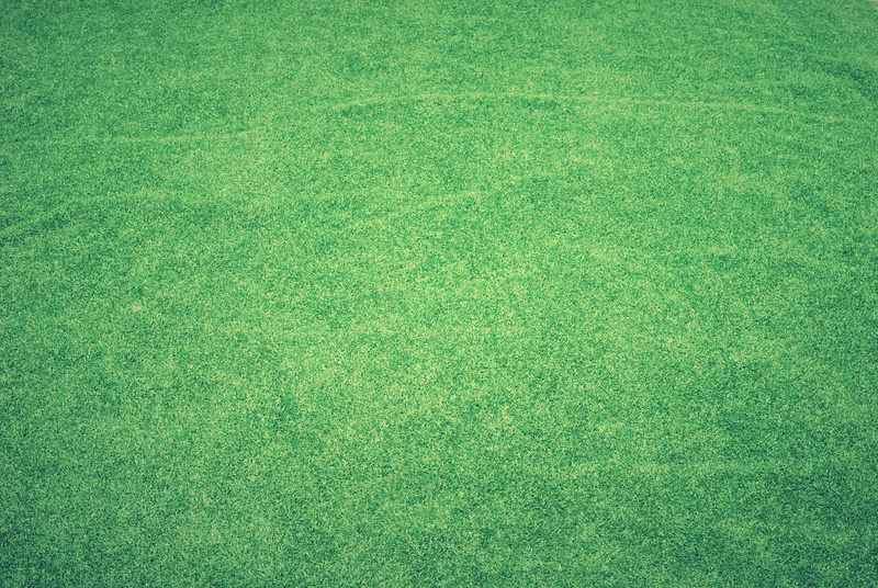 beautiful, turf, football, decorative, sod, textured, soccer, plant, green color, view, indoor, garden, design, detail, golf, soccer field, green - golf course