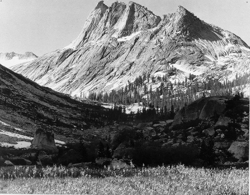 tree, nature, landscapes, victorian Style, Roaring River, mountain range, grass, 720P, scenics - nature, Kings Canyon National Park, national, print, retro Styled