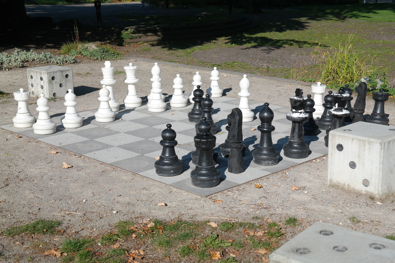 pawn - chess piece, leisure games, game, sunlight, large group of objects, farmers, chess, play, arrangement, chess piece, chess pieces, park, day, black color