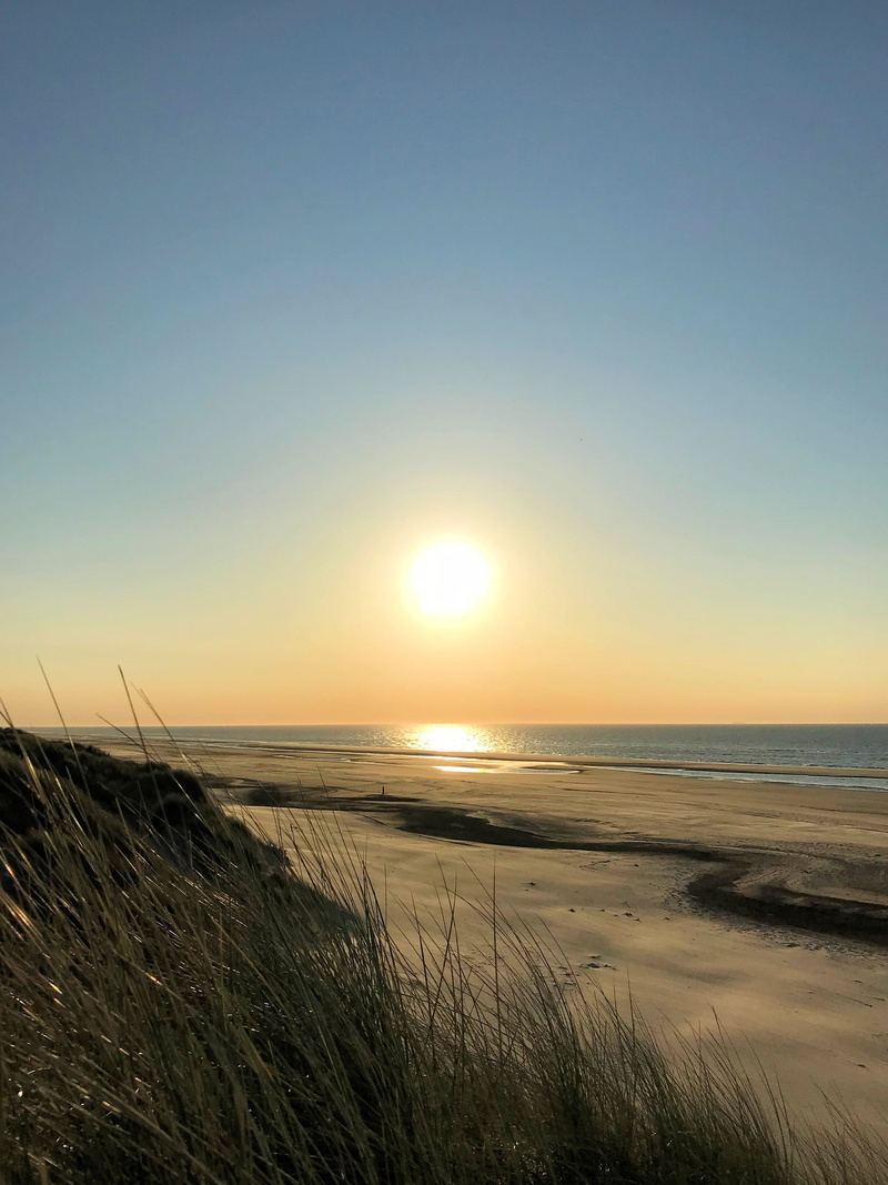 sea, non-urban scene, 2K, marram grass, outdoors, coast, grass, dunes, bright, land, nature, plant, water, idyllic, sunset, tranquil scene, holland, netherlands