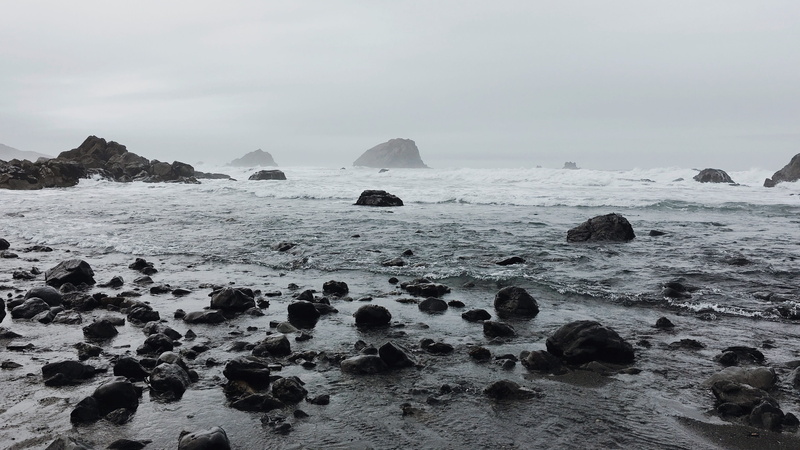 waves, gray, tranquility, tranquil scene, black And White, animal themes, horizon over water, scenics - nature, solid, color Image, rock formation, animal wildlife