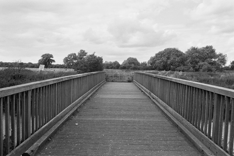 plant, the way forward, diminishing perspective, clouds, direction, outdoors, footbridge, water, long, architecture, tree, connection, no people, black and white
