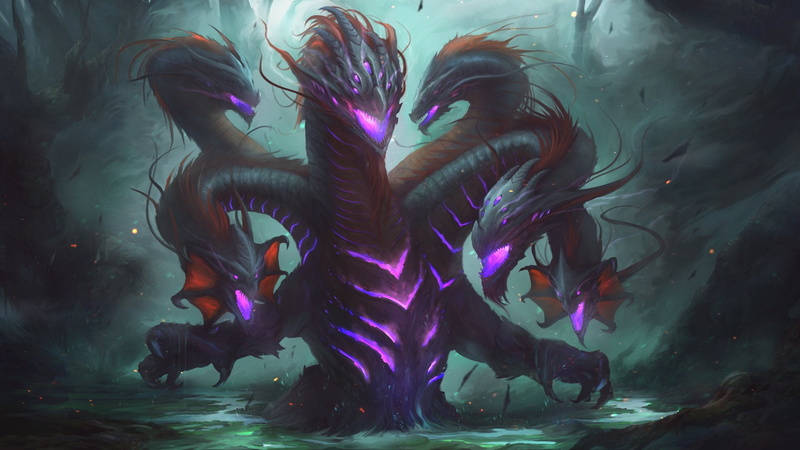 marine, multi colored, Hydra, animal themes, animals in the wild, animal, 1080P, fish, undersea, vertebrate, school of fish, transparent, animal wildlife
