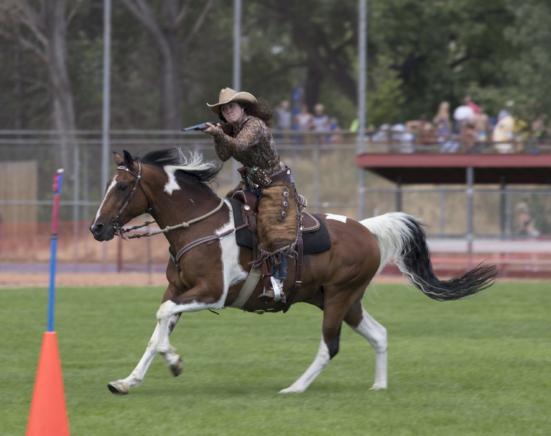 2K, animal, weapon, rider, history, aim, female, livestock, entertainment, mammal, highsmith, shooting, group of animals, outdoors, grass, costume, shoot