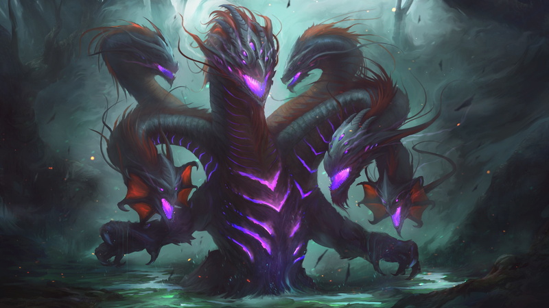group of animals, animal, 4K, multi colored, purple, animal themes, animal wildlife, marine, fish, hydra 4k download hd  for desktop, vertebrate, undersea